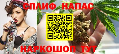 скорость Кингисепп