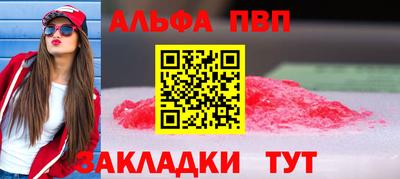 скорость Кингисепп