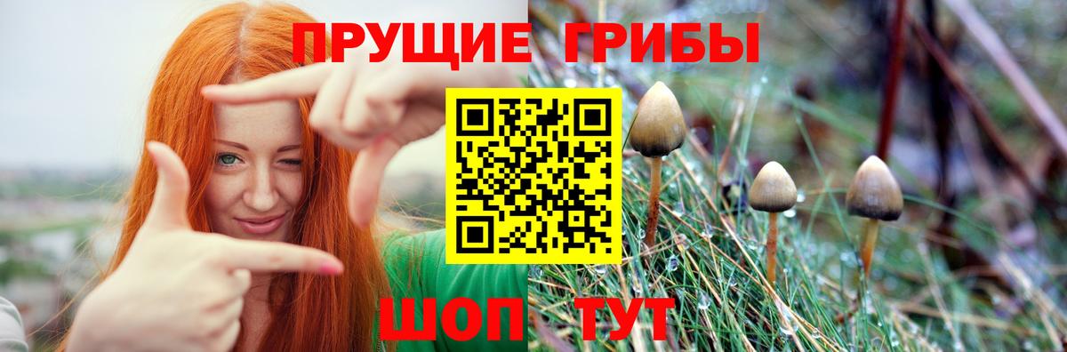 Псилоцибиновые грибы мицелий  Вход с VPN  Кумертау 